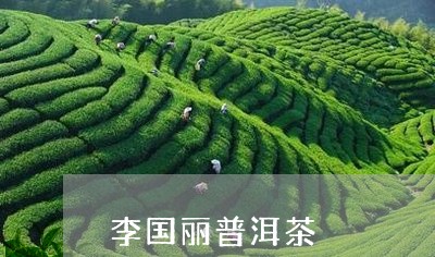 李国丽普洱茶/2023042896471