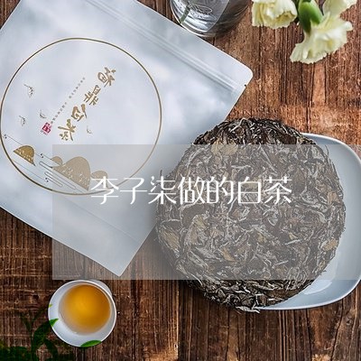 李子柒做的白茶/2023060271714