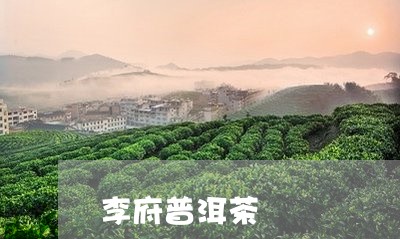 李府普洱茶/2023102541624