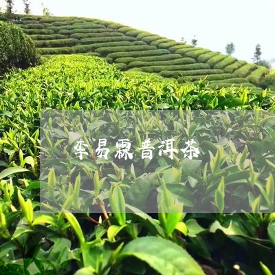 李易霖普洱茶/2023042928885