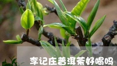 李记庄普洱茶好喝吗/2023101664937