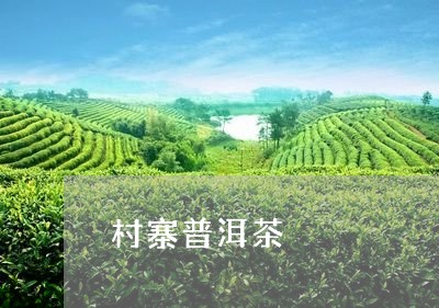 村寨普洱茶/2023090529380