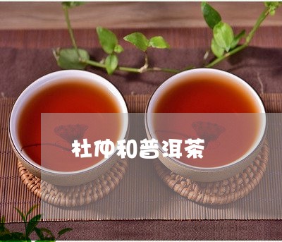 杜仲和普洱茶/2023042611287