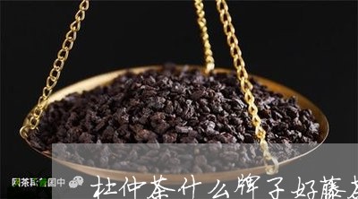 杜仲茶什么牌子好藤茶的图片/2023052686150