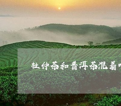 杜仲茶和普洱茶混着喝/2023073146149