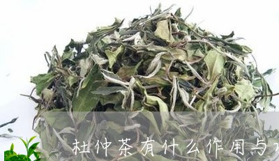 杜仲茶有什么作用与功效/2023080908150