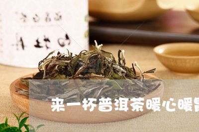 来一杯普洱茶暖心暖胃/2023061439391