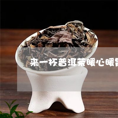 来一杯普洱茶暖心暖胃/2023092641493