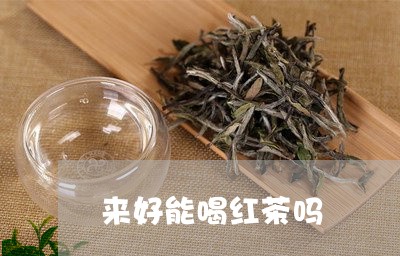 来好能喝红茶吗/2023042952348