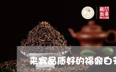 来宾品质好的福鼎白茶/2023120723137