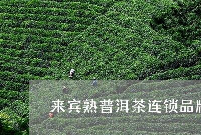 来宾熟普洱茶连锁品牌/2023080184936