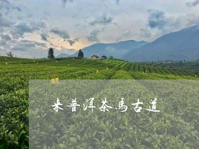 来普洱茶马古道/2023102681515