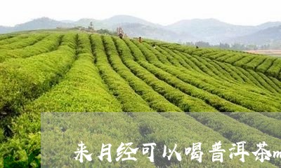 来月经可以喝普洱茶m/2023062379573