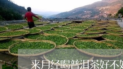 来月经喝普洱茶好不好/2023061691794