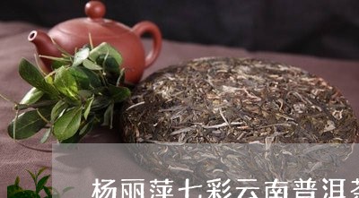 杨丽萍七彩云南普洱茶/2023062882736