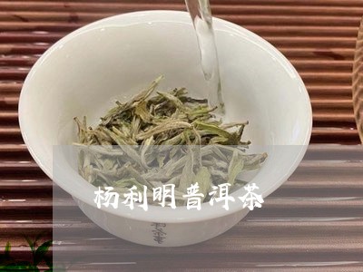 杨利明普洱茶/2023121771594