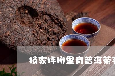 杨家坪哪里有普洱茶买的/2023110734059