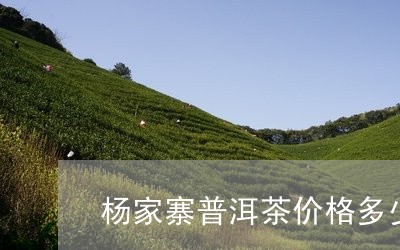 杨家寨普洱茶价格多少一斤/2023121719270
