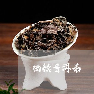 杨敏普洱茶/2023121701583