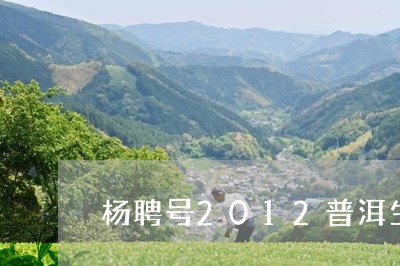 杨聘号2012普洱生茶价格/2023052726593