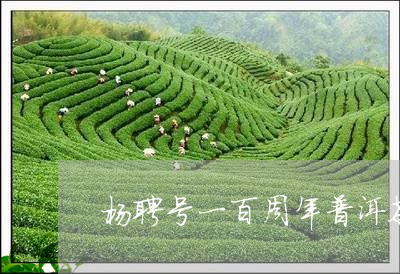 杨聘号一百周年普洱茶/2023092652592