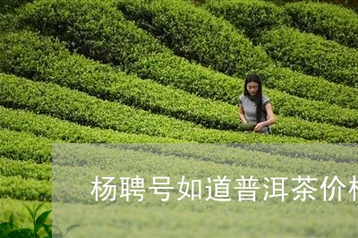 杨聘号如道普洱茶价格/2023092839262