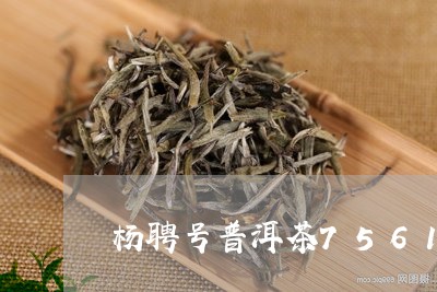 杨聘号普洱茶7561/2023100848483