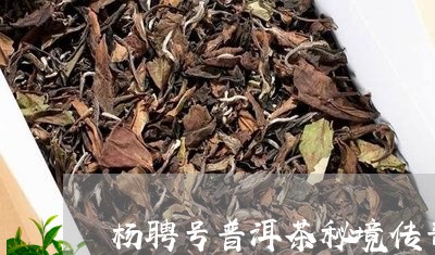 杨聘号普洱茶秘境传奇/2023092883813