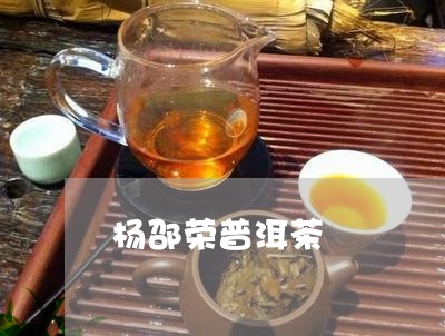 杨邵荣普洱茶/2023042821961