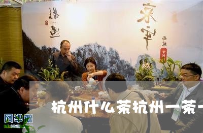 杭州什么茶杭州一茶一饭卖的茶叶/2023060183806