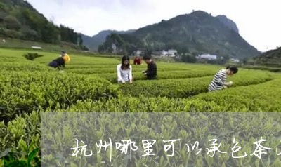 杭州哪里可以承包茶山/2023071536930