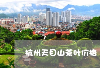 杭州天目山茶叶价格/2023042642826