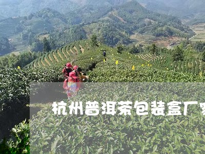 杭州普洱茶包装盒厂家/2023121752615