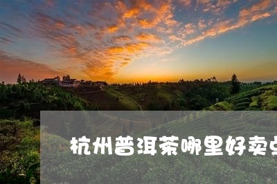 杭州普洱茶哪里好卖点/2023110702928