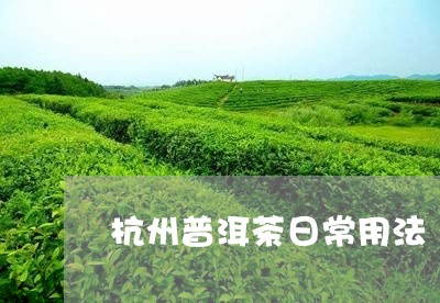 杭州普洱茶日常用法/2023083100503