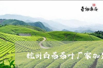 杭州白茶茶叶厂家加盟/2023100132737