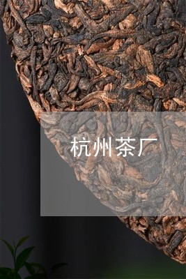 杭州茶厂/2023121952069