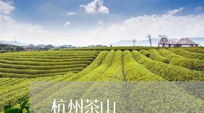 杭州茶山/2023090170604