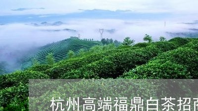 杭州高端福鼎白茶招商/2023100171704