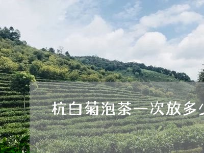 杭白菊泡茶一次放多少/2023060939584