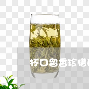 杯口留香珍惜白茶/2023062190584