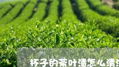 杯子的茶叶渍怎么清洗/2023061182615