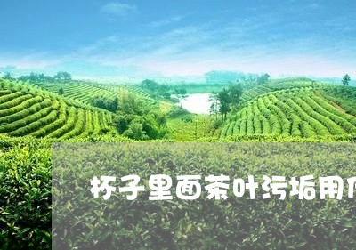 杯子里面茶叶污垢用什么清除/2023052623716