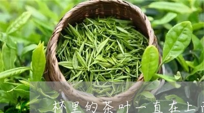 杯里的茶叶一直在上面/2023092269481