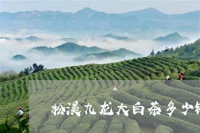 松溪九龙大白茶多少钱一盒/2023111741614