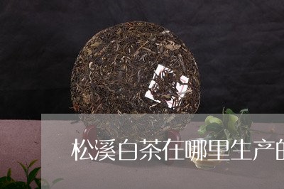 松溪白茶在哪里生产的呢/2023102634713