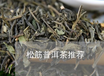 松筋普洱茶推荐/2023081856170