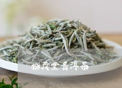 松茂堂普洱茶/2023042587932