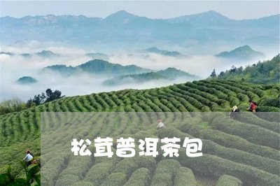 松茸普洱茶包/2023042526755