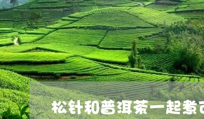 松针和普洱茶一起煮可以吗/2023112484915